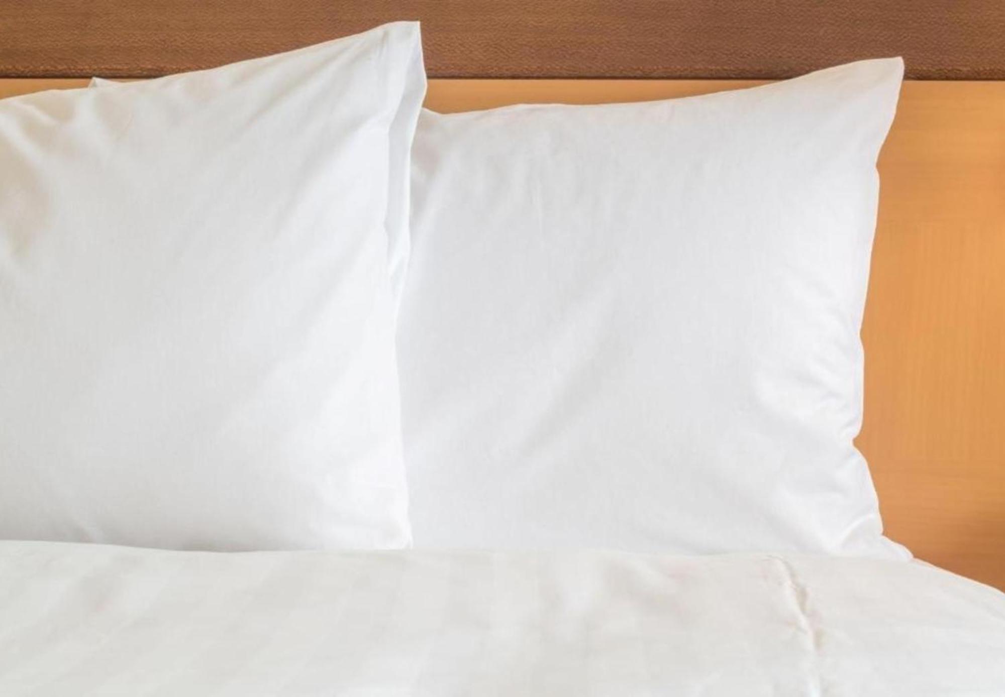 Holiday Inn Express Knoxville-Strawberry Plains By Ihg Eksteriør billede